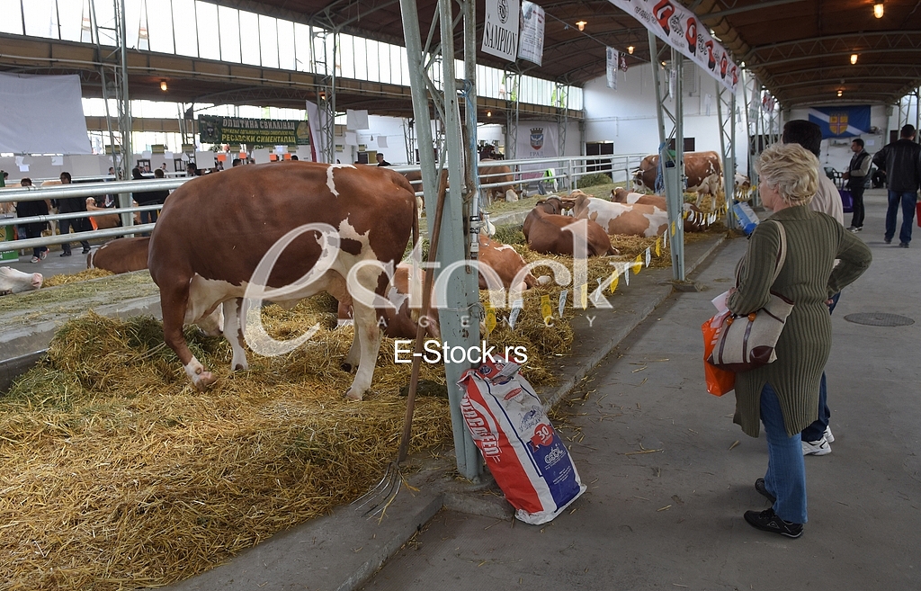 Agricultural machinery at fair