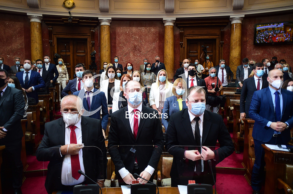 Marijan Risticevic, Aleksandar Mirkovic (D)
