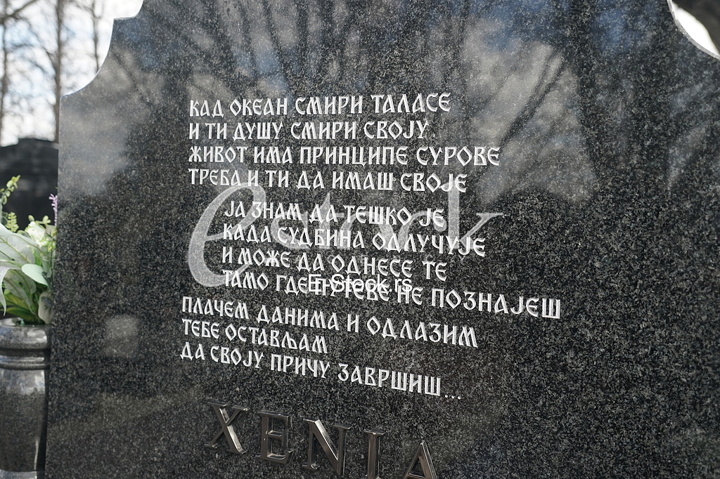 Pomen Kseniji Pajcin