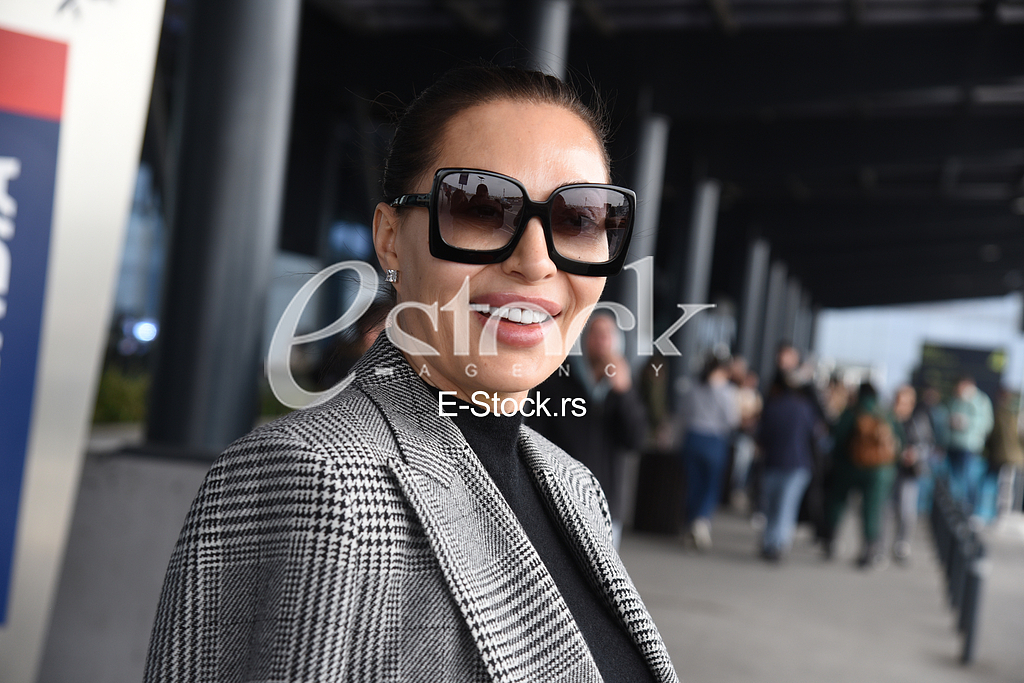 Ceca Raznatovic_aerodrom