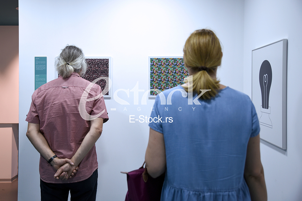 Museum of illusions







