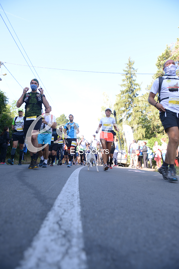 Fruskogorski maraton