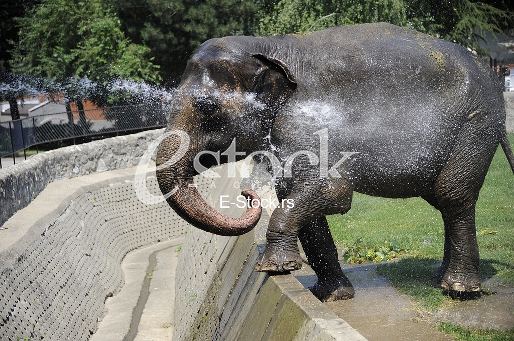 Belgrade zoo on summer day