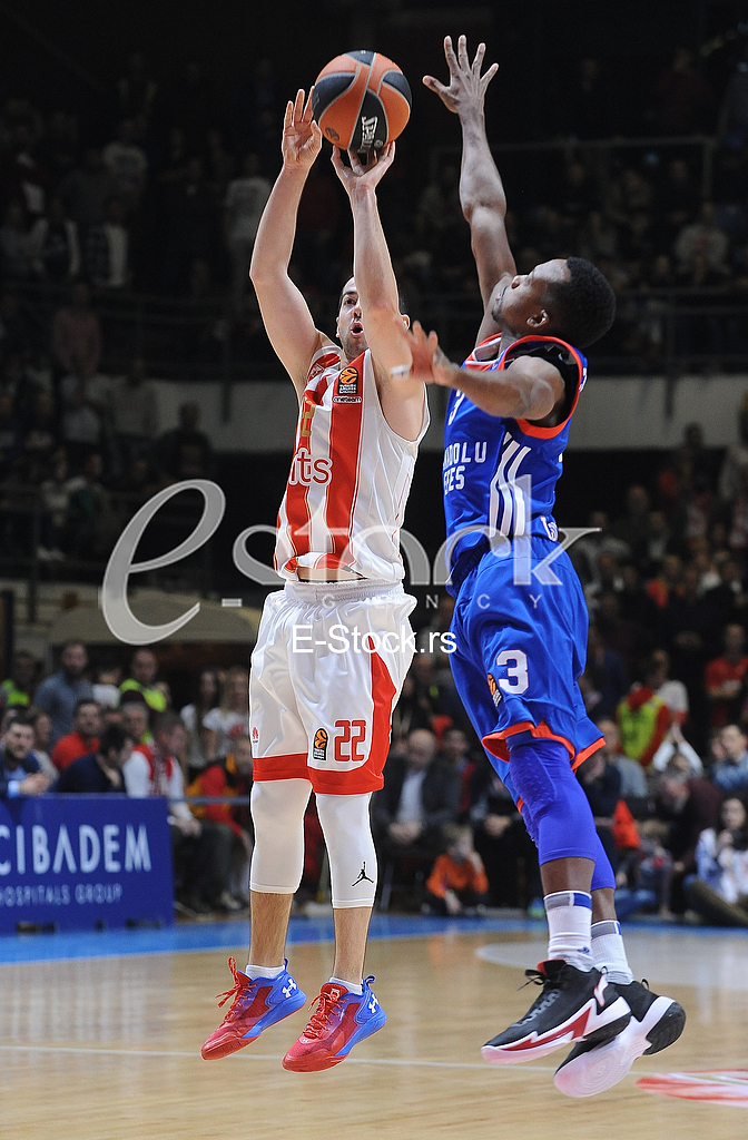 CRVENA ZVEZDA vs ANADOLU EFES