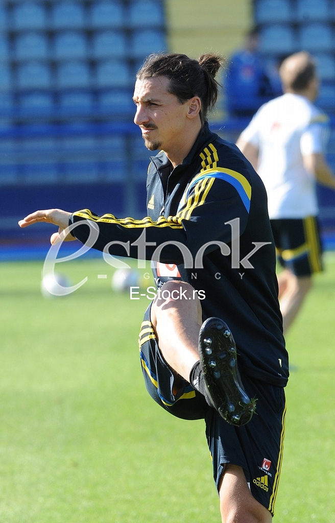 Training of Sweden national football
