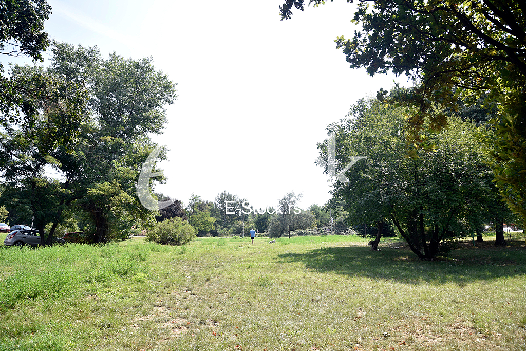 Suicide on Banjica