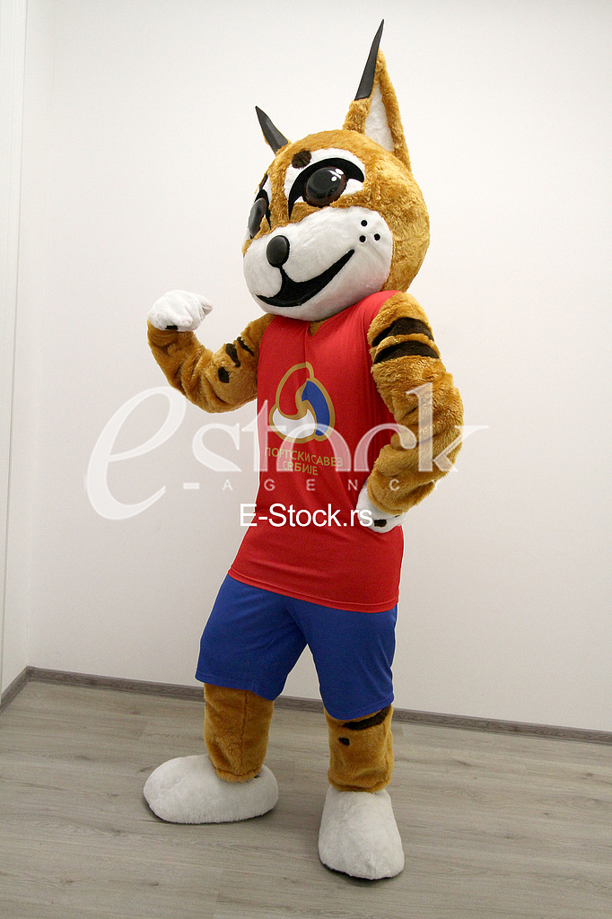 Presentation of the mascot 