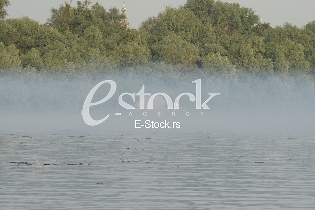 Zaprasivanje komaraca