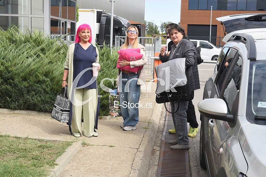 Zorica Brunclik Kemis Zlata Arandjelovic