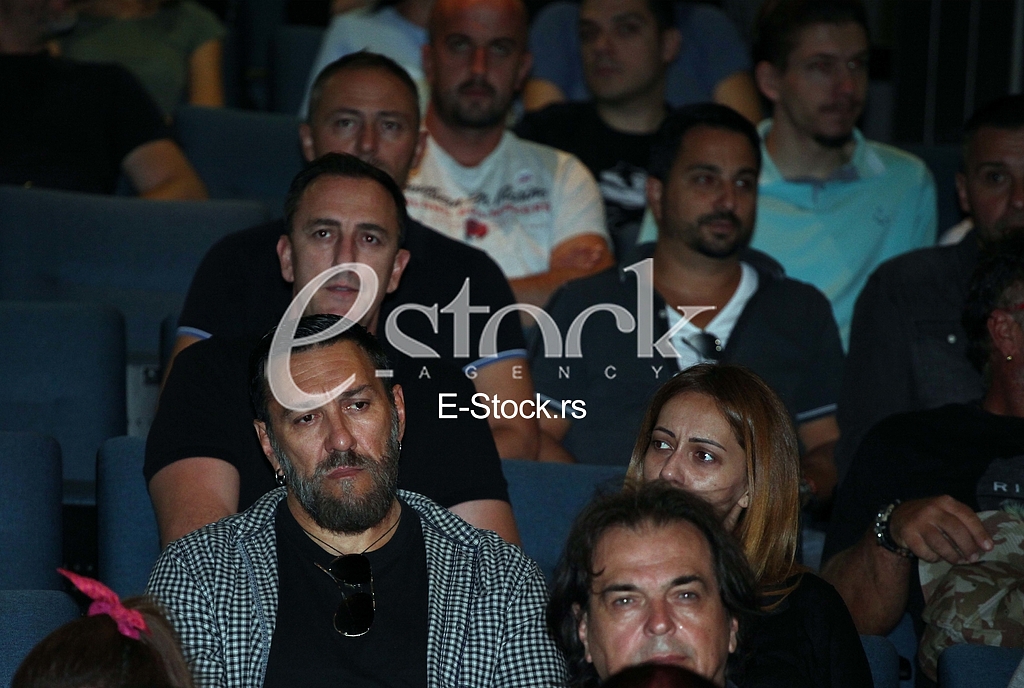 Igor Lazic Niggor Sergej Cetkovic