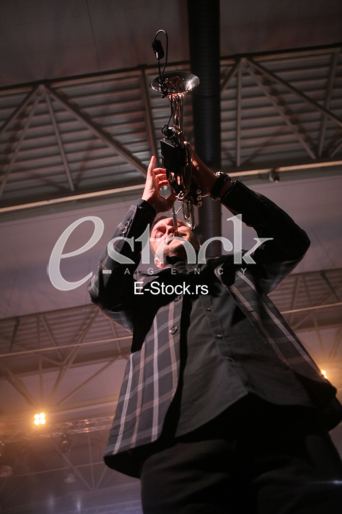 Koncert Dejan Petrovic BIBAD,Expocentar.