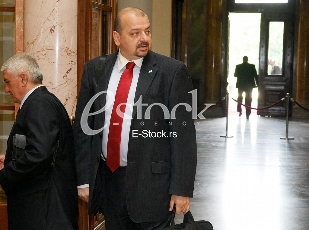 Serbian Assembly session