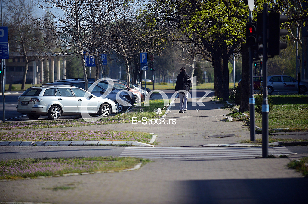 Koronavirus policijski cas