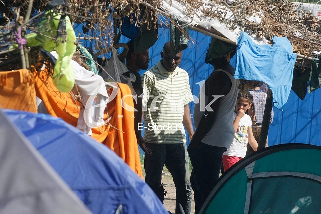 Migrants