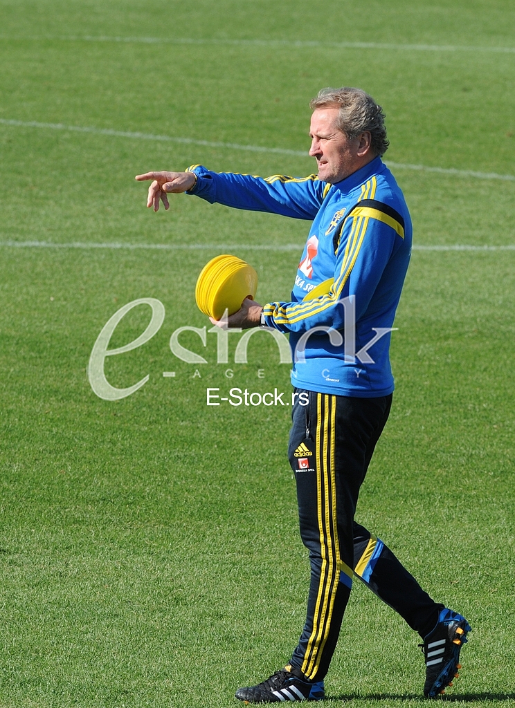 Training of Sweden national football
