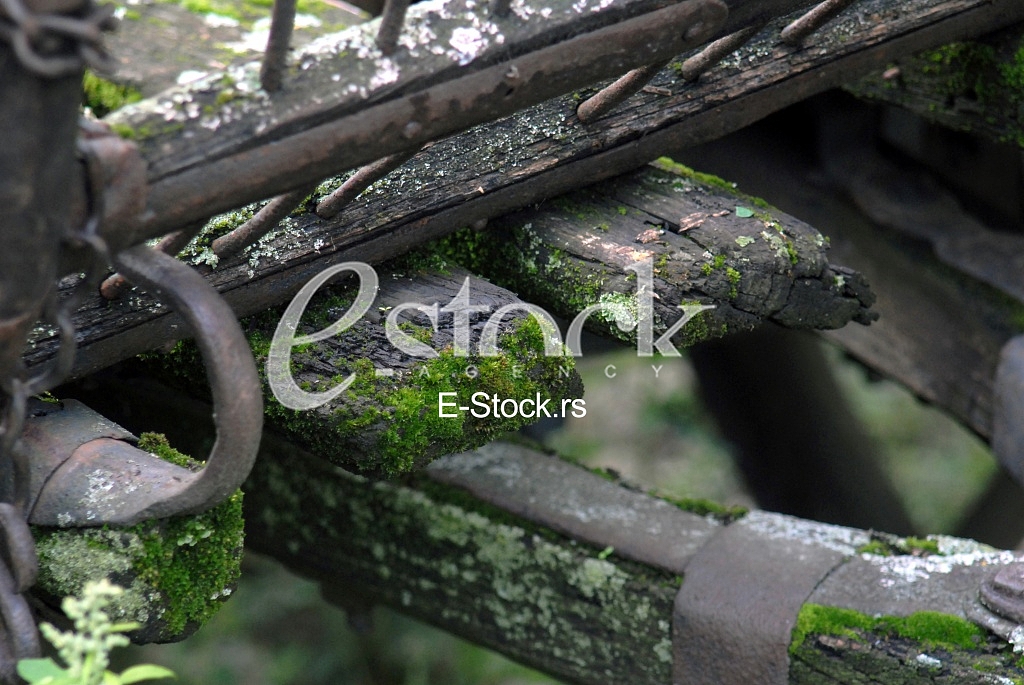 Wood