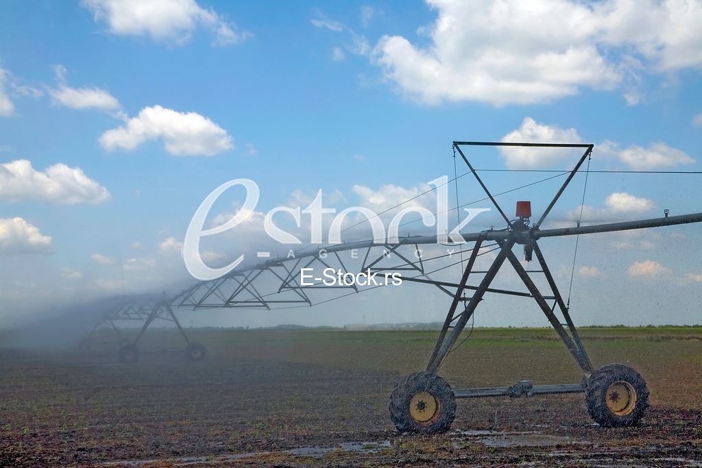 Agriculture