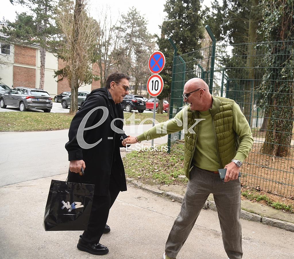 aleksandar milic mili  dragan kojic keba