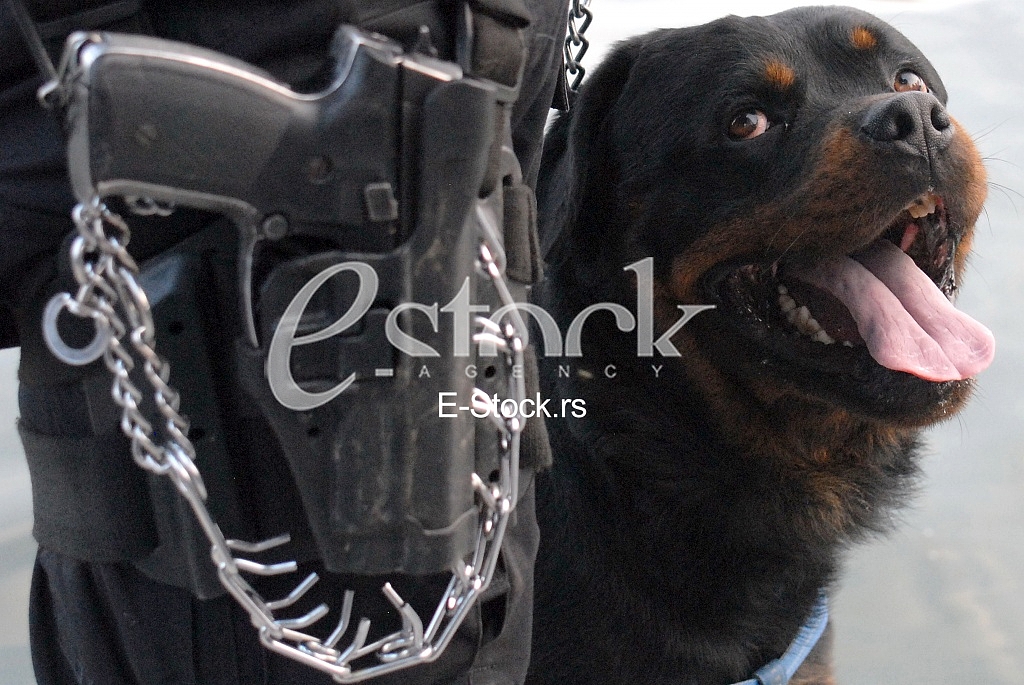Serbian Police Special Forces Operators