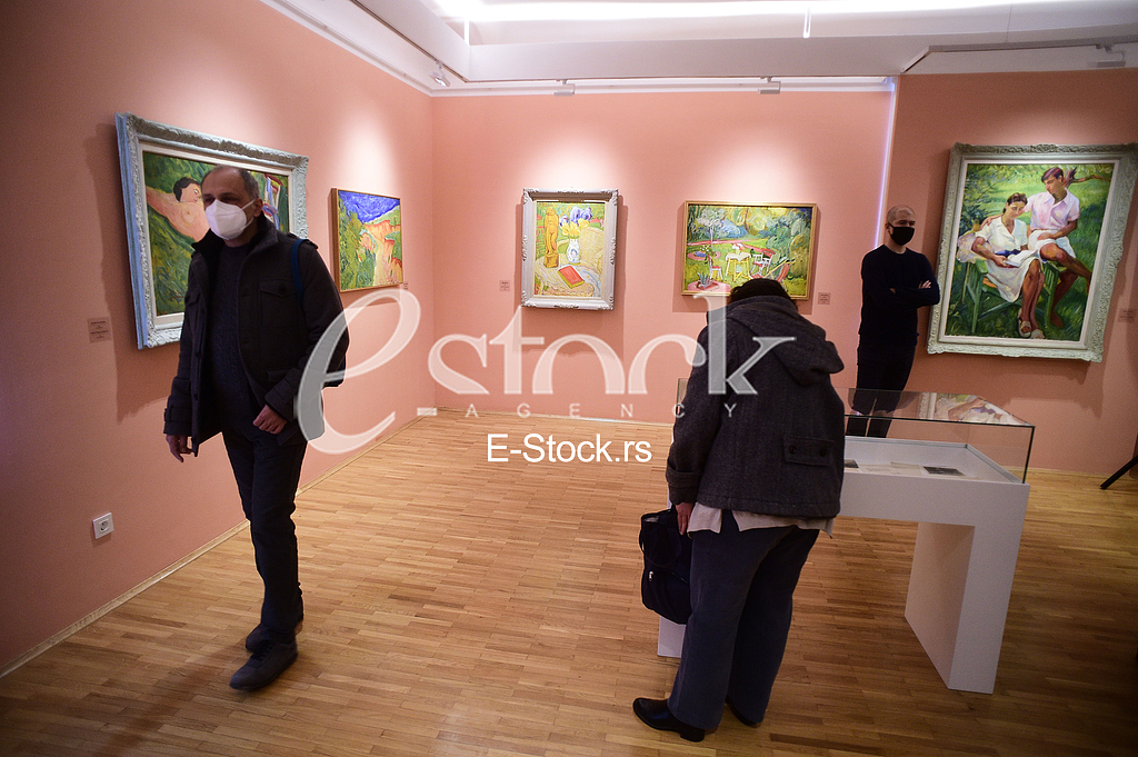 Galerija Petar Dobrovic