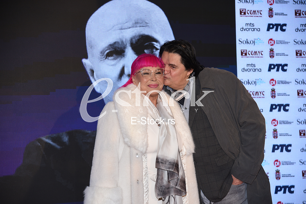 Zorica Brunclik Miroljub Arandjelovic Kemis