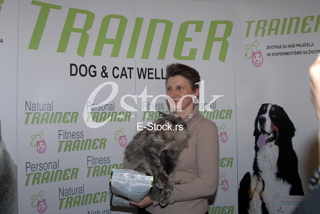 Cat show