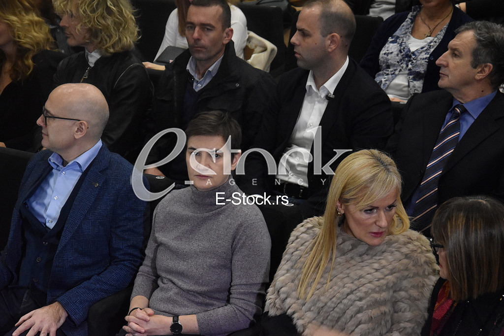 Milos Vucevic i Ana Brnabic