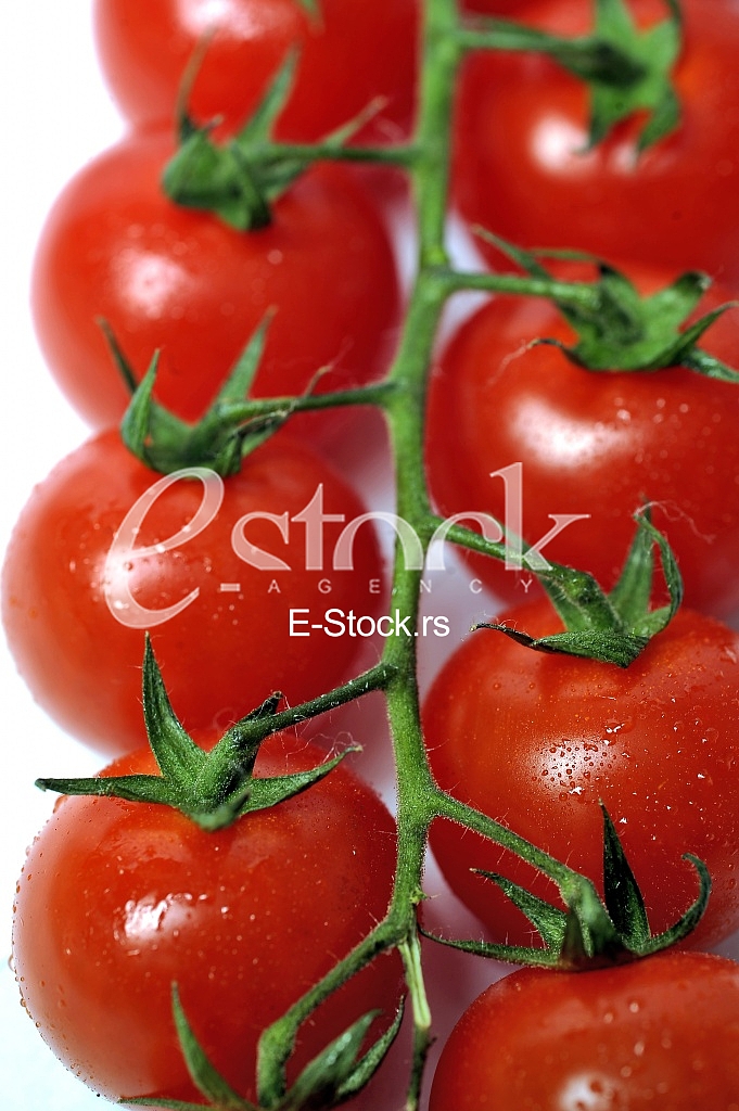 tomato