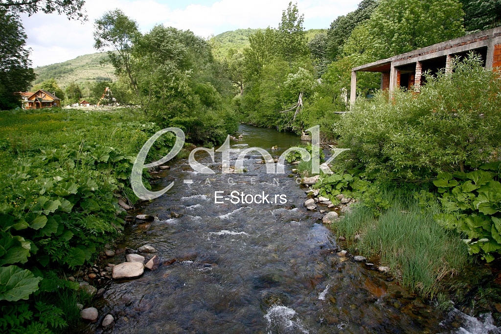 Mountain river flowing at summer forest landscape