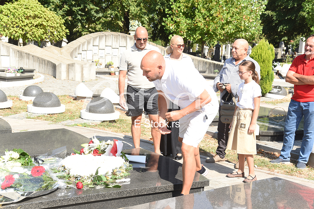 Mihajlo Saulic