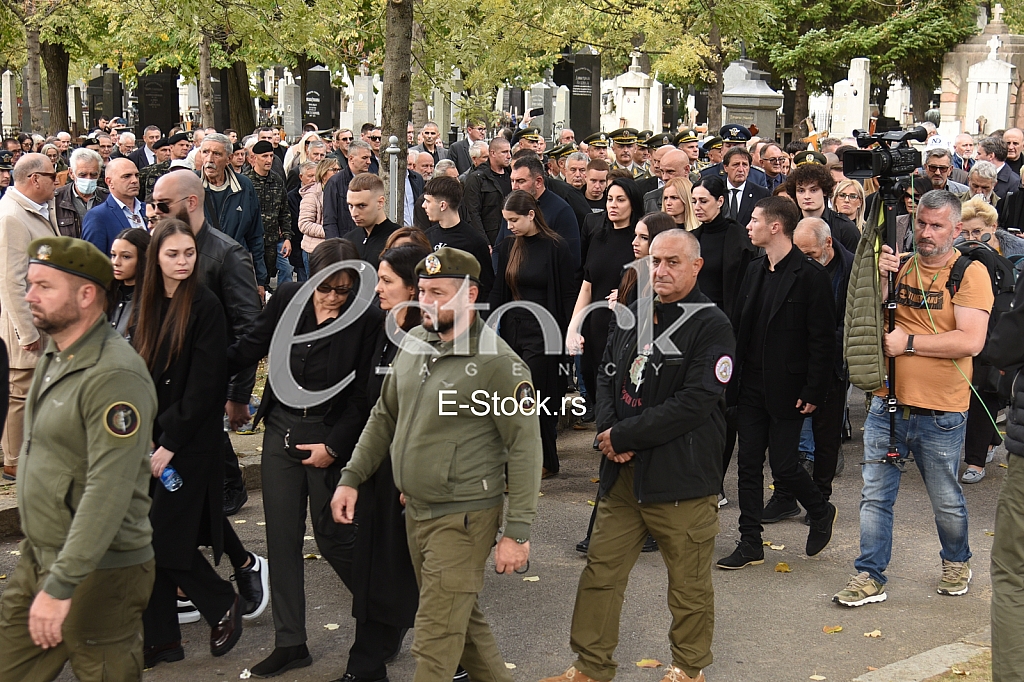 Nebojsa Pavkovic porodica
