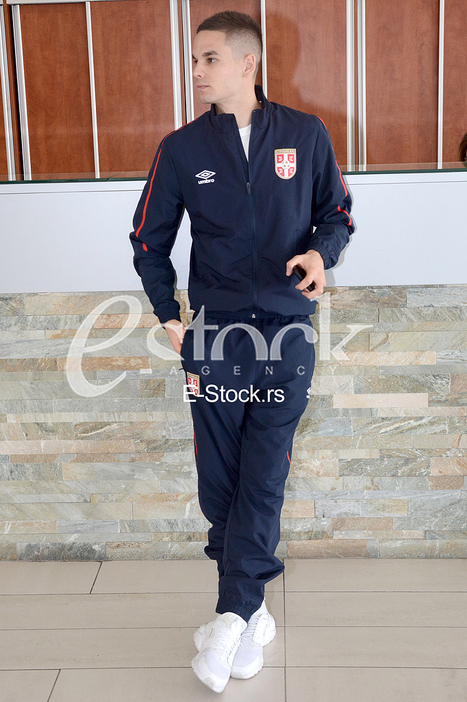 Football Association of Serbia, the Serbian team.