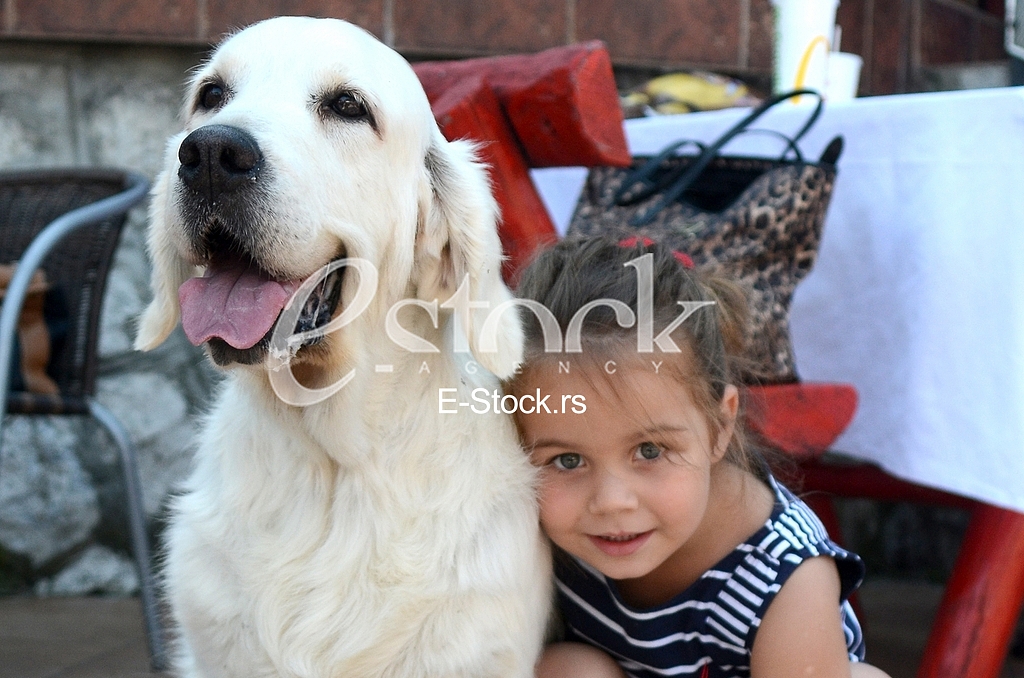 The first international festival of pets 