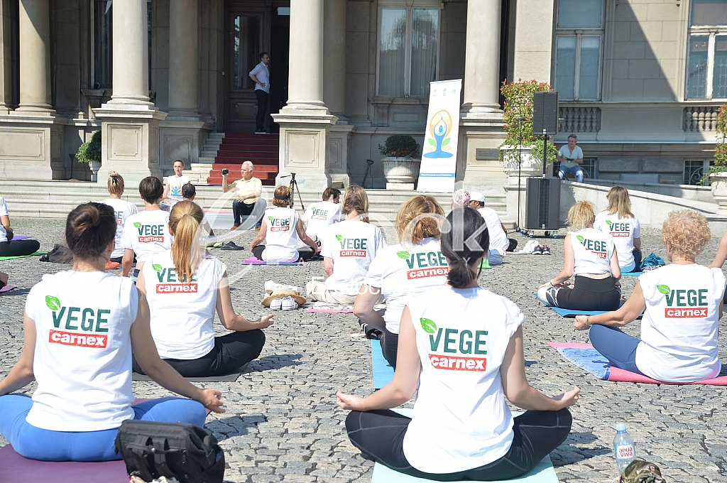 Medjunarodni dan joge