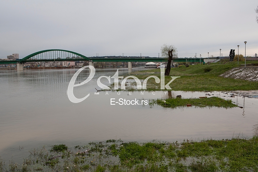 Flood