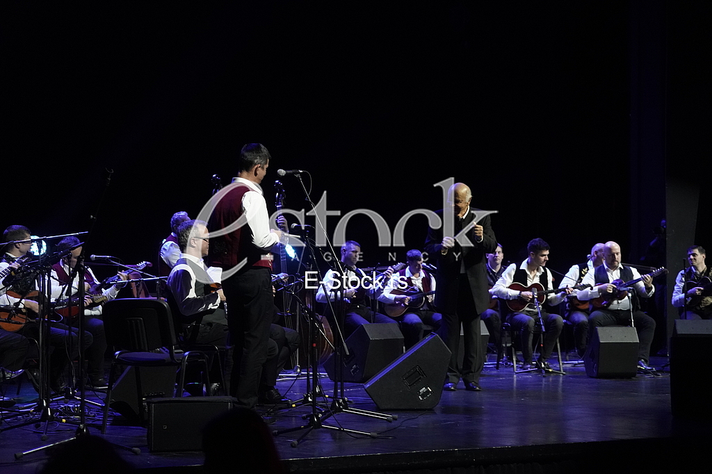 Zvonko Bogdan koncert