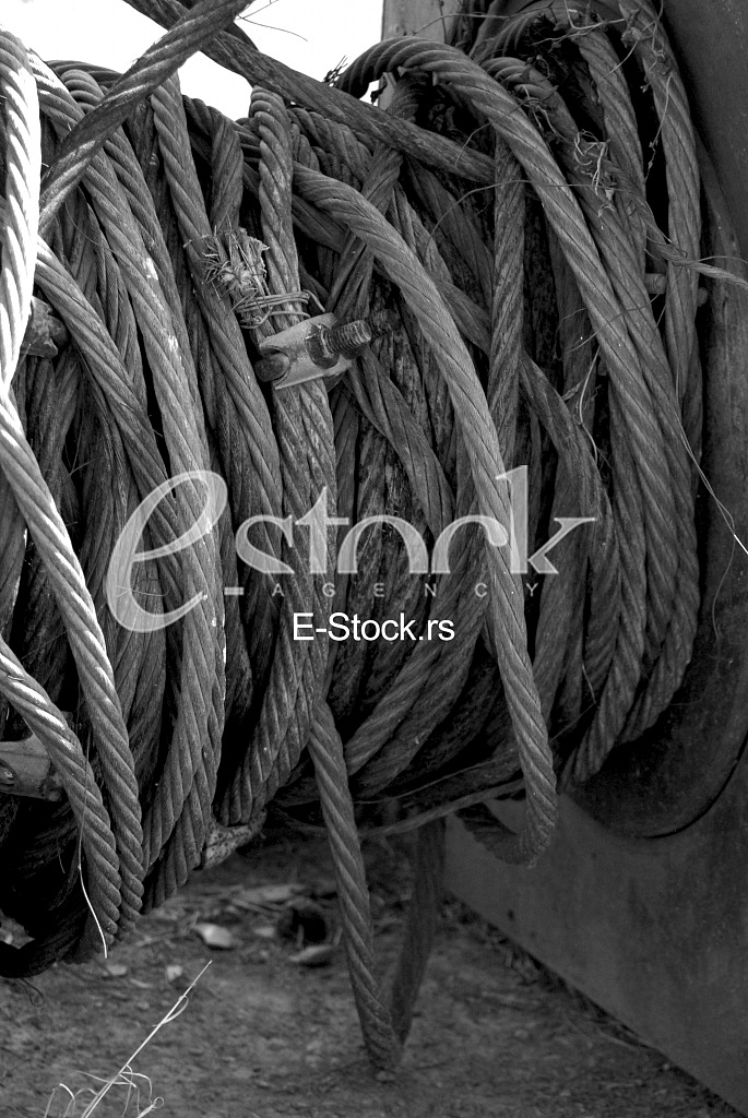 Black and white armature