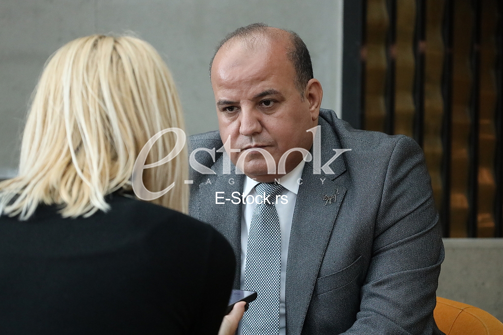 Ahmed Ismail generalni direktor internacionalnog sektora u vladi Egipta