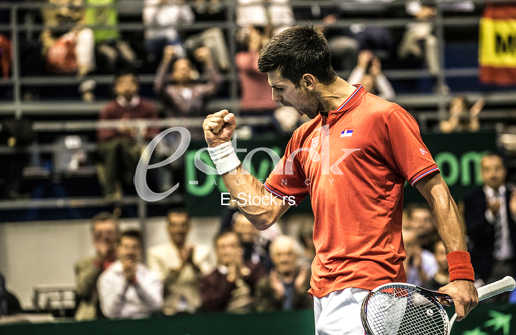 Davis Cup tennis