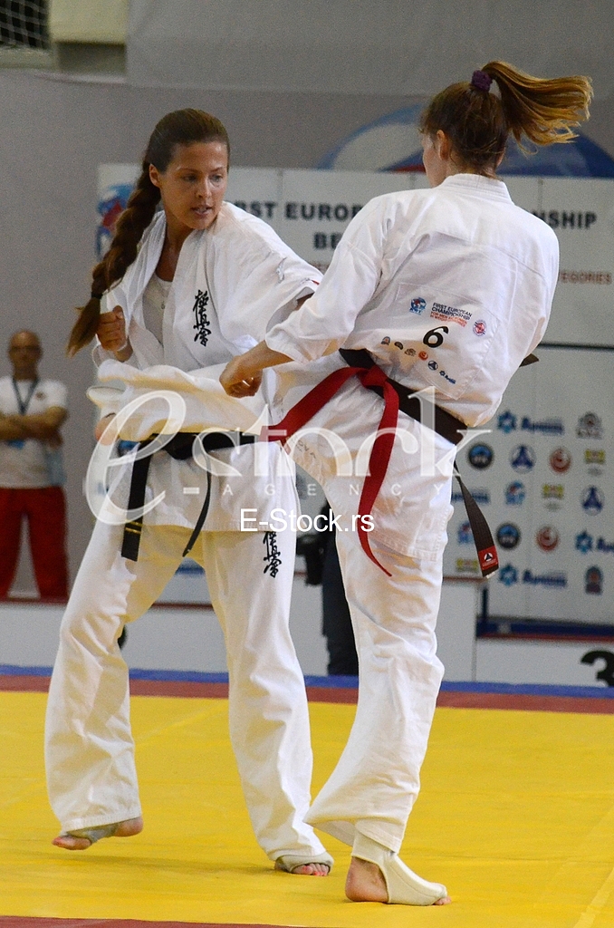 European competition in Kyokushin Karate