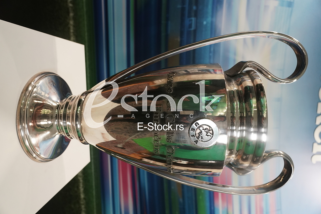 Heineken finale Lige sampiona