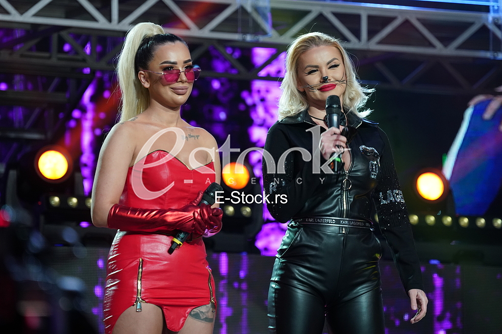Zadrugovizija, Natasa Radan, Sanja Stankovic