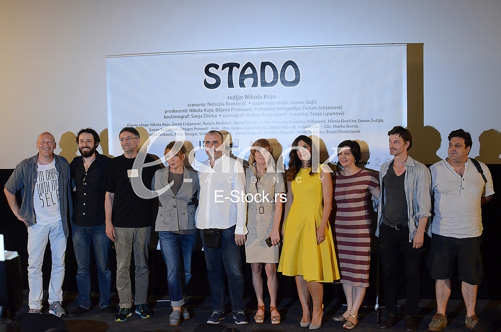 Film Stado Film Stado