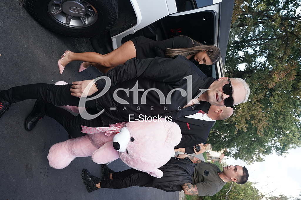 Sasa Petkovic Sale Luks