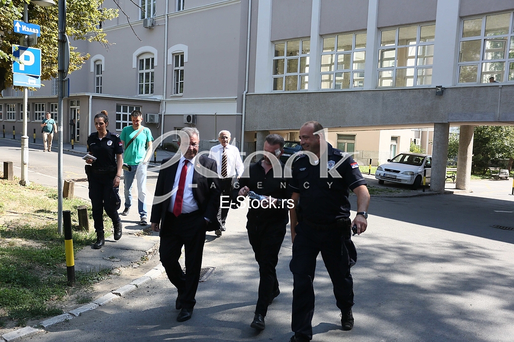 Dragomir Karic Simon de Karic