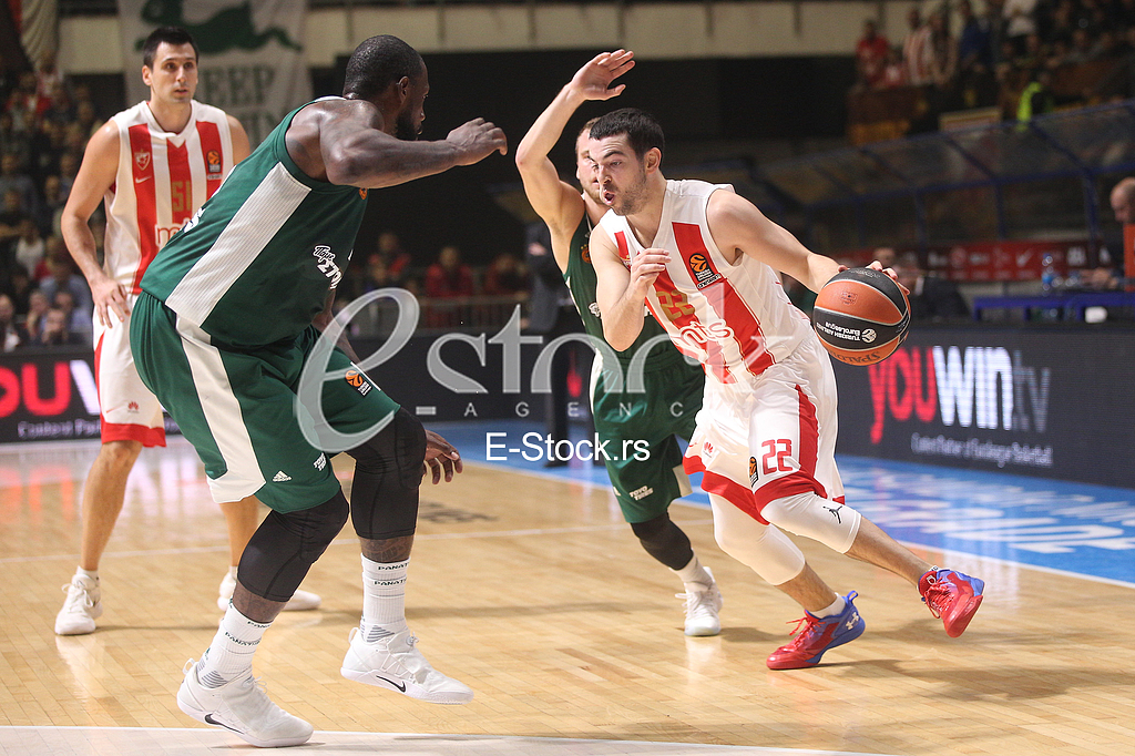 CRVENA ZVEZDA vs PANATHINAIKOS ATHENS