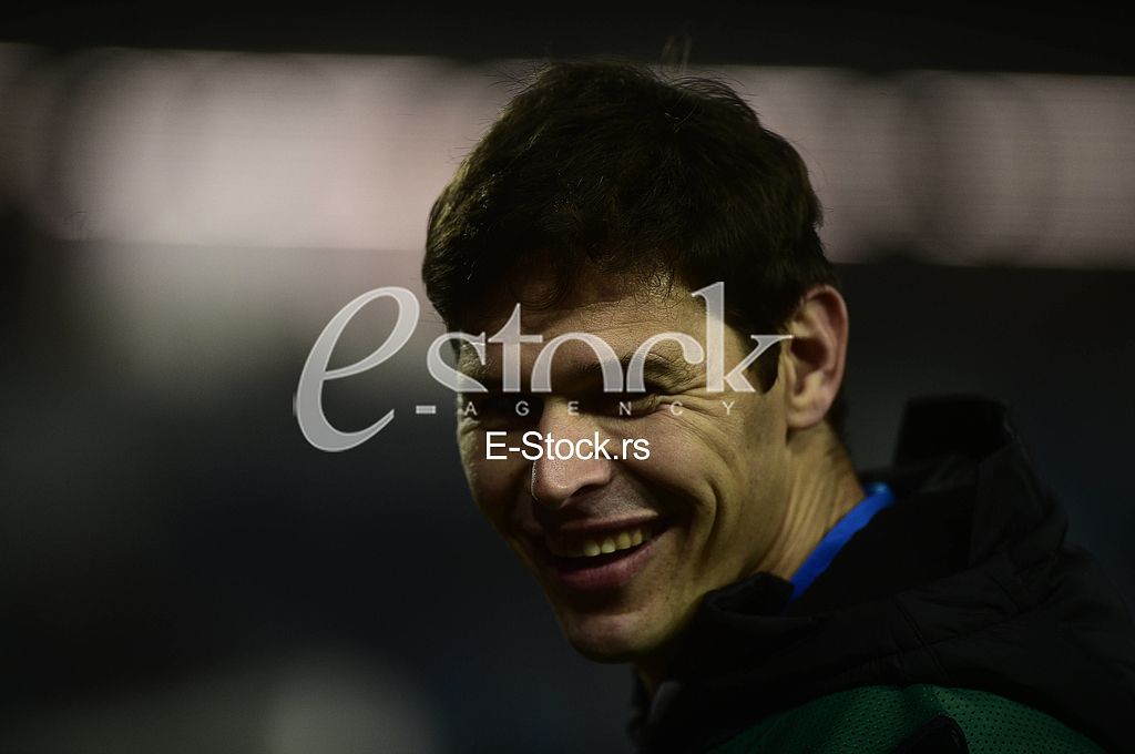 Nikola Zigic Srbija vs Luksemburg