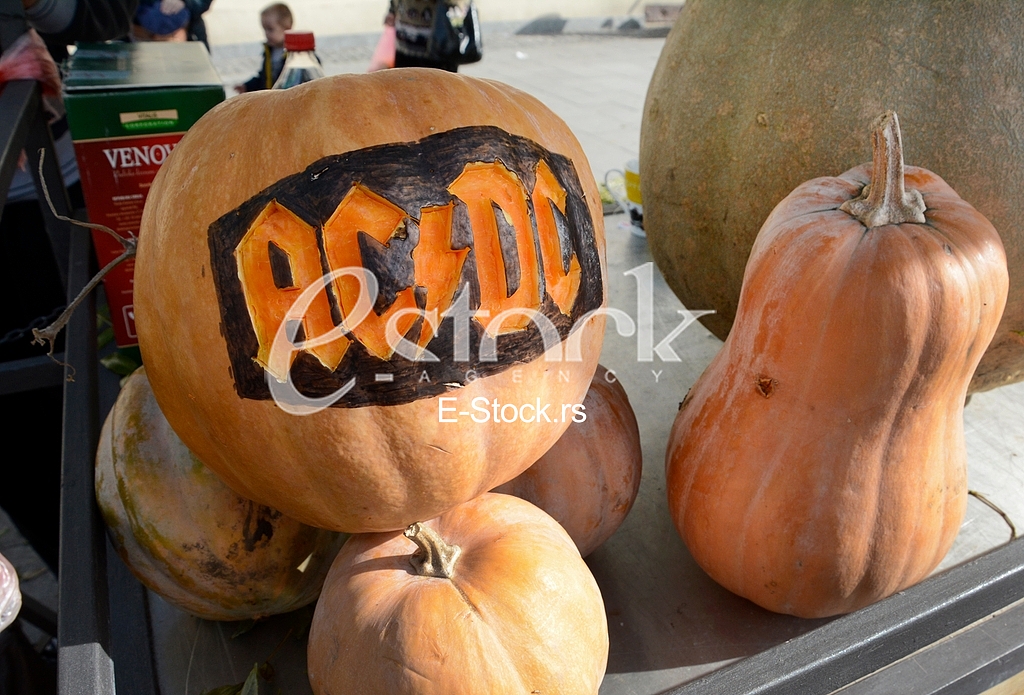 competition for the heaviest pumpkin, and for the most beautiful piece of pumpkin, market Zemun