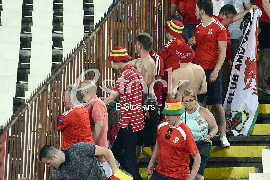 Serbia-Wales, football match.
