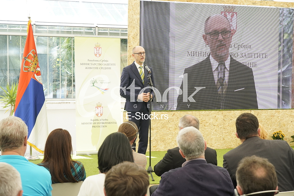 Goran Trivan